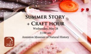 Summer Story and Craft Hour