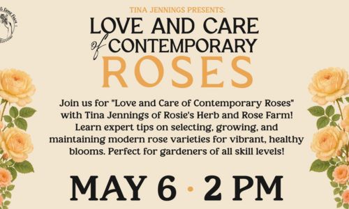 Tina Jennings Presents Love and Care of Contempary Roses