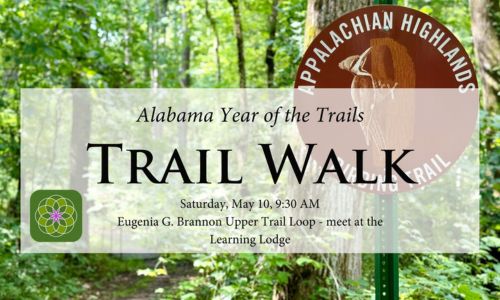 Trail Walk