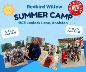 Redbird Willow Summer Camp