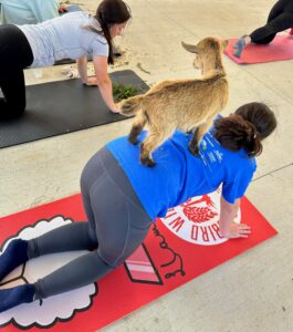 Goat Yoga Class at Redbird Willow Farm