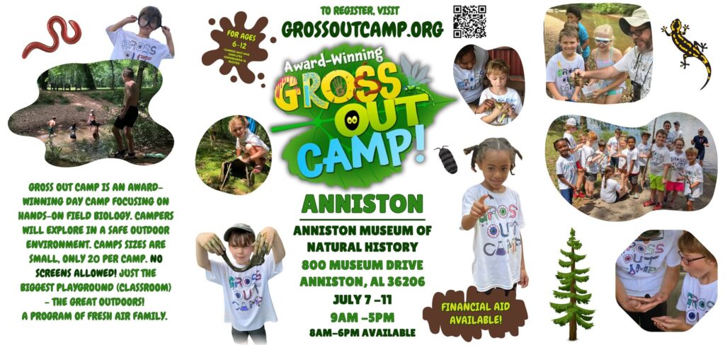 Gross Out Camp