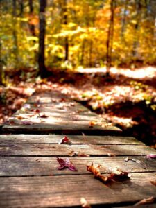 Bridging Worlds: A Mediumship Demonstration