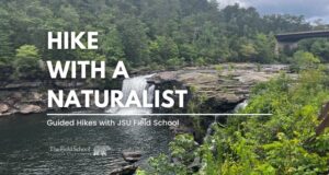 Hike with a Naturalist - Lower Two Mile Trail