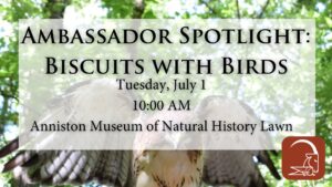 Ambassador Spotlight: Biscuits with Birds