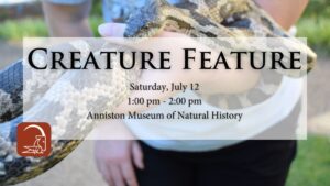 Creature Feature