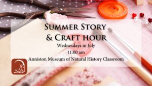 Summer Story nd Craft Hour