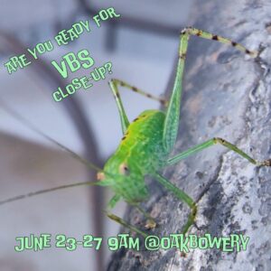 VBS