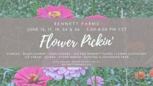 Flower Pickin'