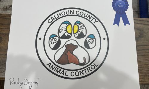 County Commision