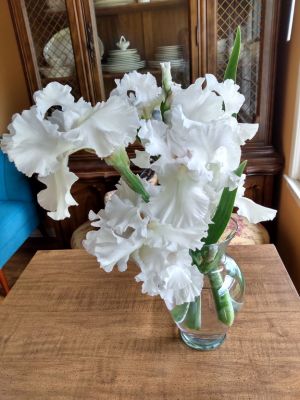 Gardeners Treasure Growing Bouquets