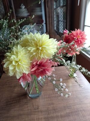 Gardeners Treasure Growing Bouquets