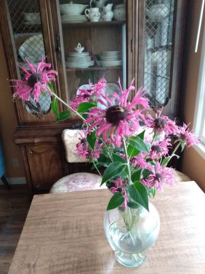 Gardeners Treasure Growing Bouquets