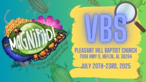 VBS 2025, Magnified
