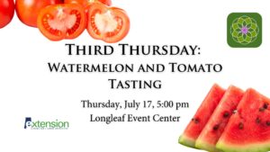 Third Thursday: Watermelon and Tomato Tasting