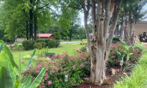 Beautification Luncheon