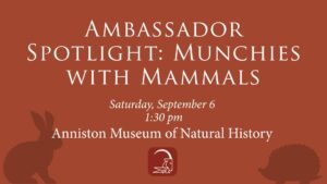 Ambassador Spotlight: Munchies with Mammals