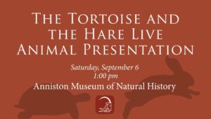The Tortoise and the Har Live Animal Presentation