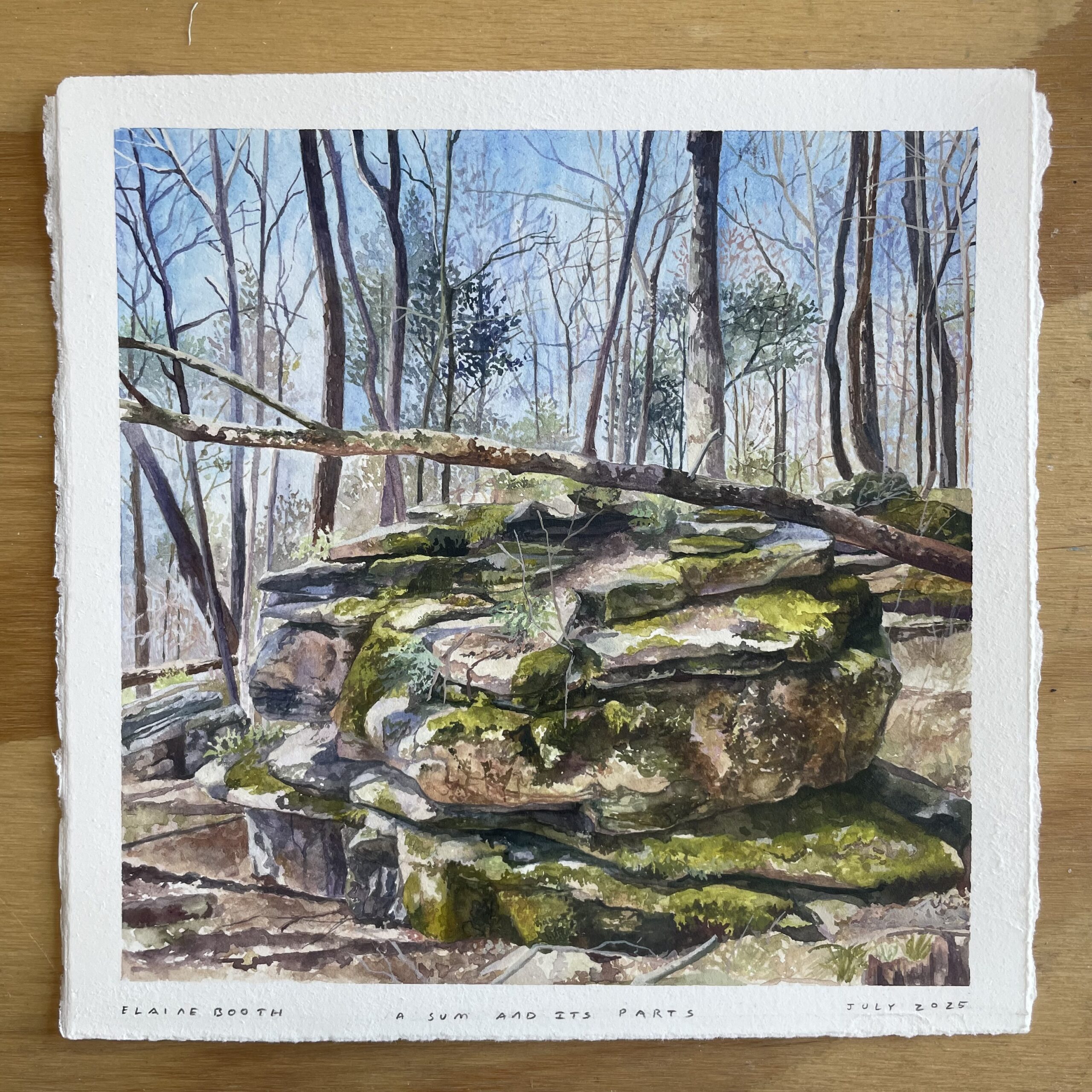 Artist Elaine Booth of Huntsville, AL