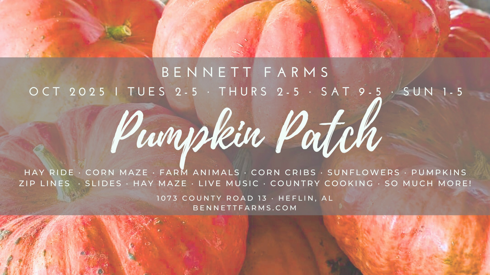 Bennett Farms Pumpkin Patch