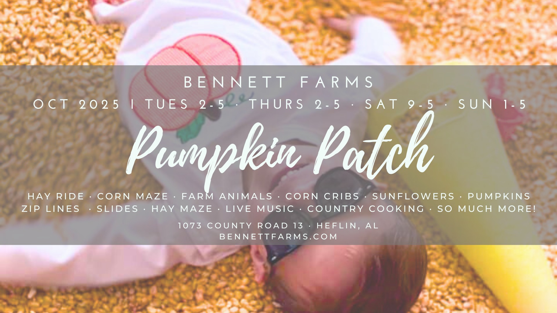 Bennett Farms Pumpkin Patch
