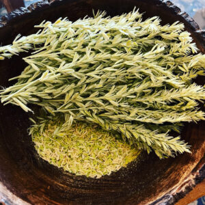 Community Chat: Food Resources