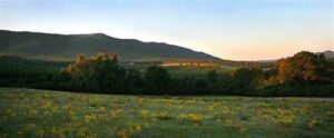 Savor the Season at Dugger Mountain Harvest Market