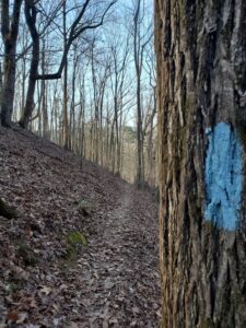 Introductory Trail Maintenance Workday - Sec 12 Piedmont