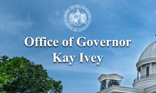 Governor Kay Ivey State Senate Map