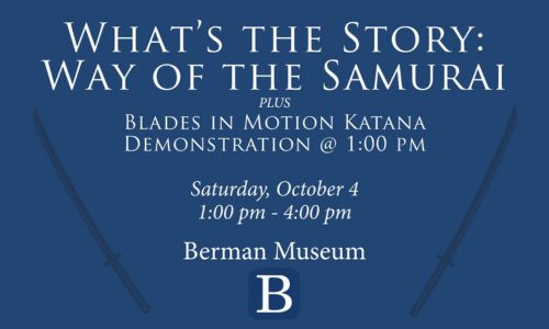 What's the Story Way of the Samurai