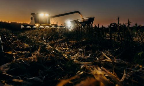 Ag, Forestry Shine in Farming Feeds Alabama Photo Contest