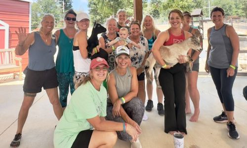 Grieving moms Goat yoga event