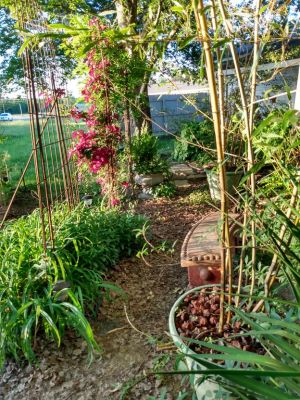 How To Winterize A Shade Garden