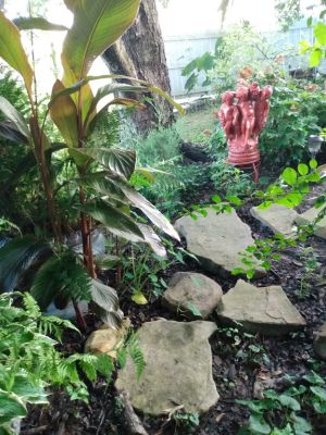 How To Winterize A Shade Garden