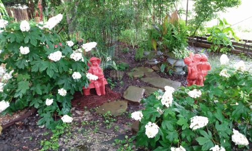 How To Winterize A Shade Garden