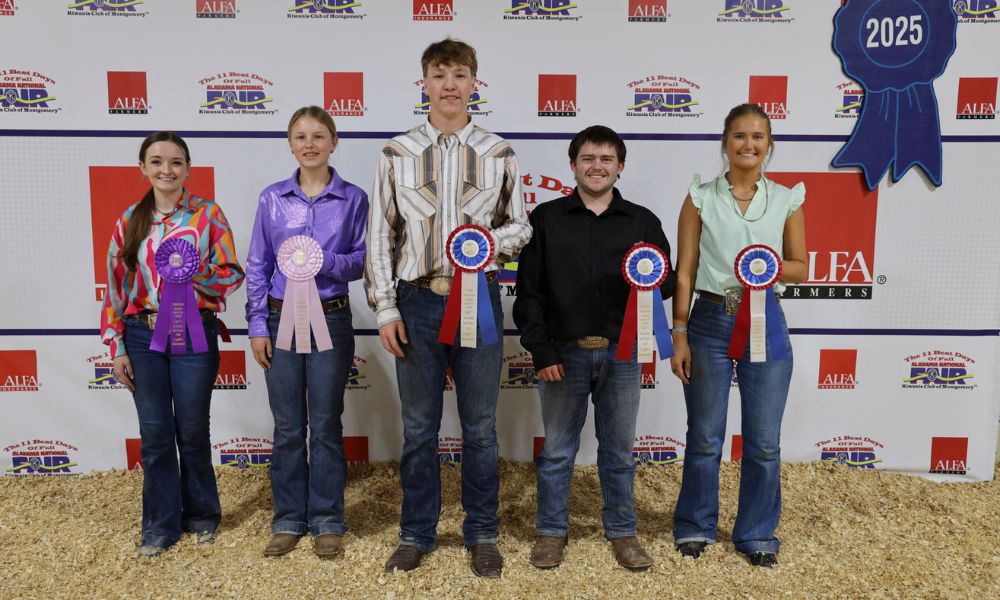 Senior Premier Exhibitor winners in the Youth Swine Show at the Alabama National Fair Oct. 12 in Montgomery were, from left, Alyx Johnson of Randolph County, first place; Molly Cox of Barbour County, second place; Dalton Fink of Calhoun County, third place; Travis Smith of St. Clair County, fourth place; and Sara Kate Stitcher of Randolph County, fifth place. The senior division is for students 16-19 years of age. The Premier Exhibitor competition tests students’ livestock knowledge, evaluation skills and showmanship ability. Alabama Farmers Federation and Alfa Insurance sponsored youth livestock activities at the fair.