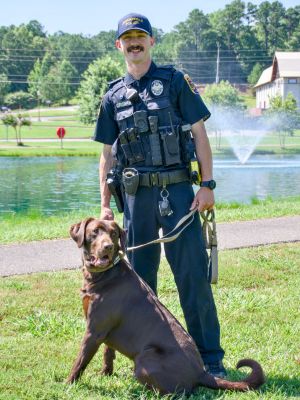 K9 Vest