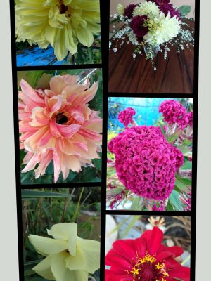 Winter Organized Garden