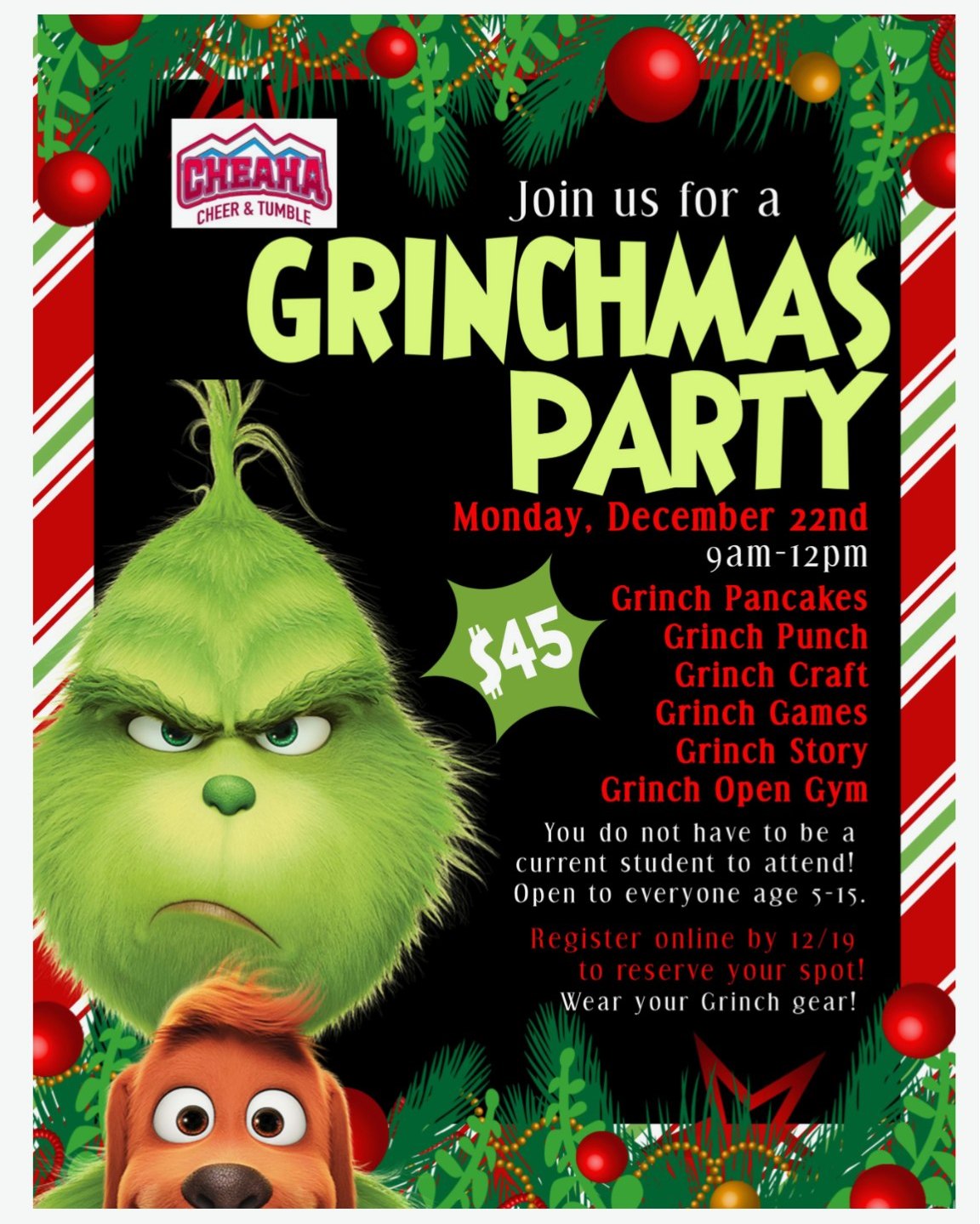 Grinch's Party: Ages 5-15