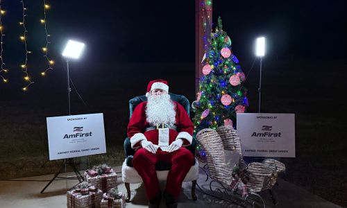 Holiday Ladiga Lights