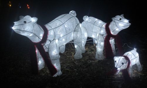 Holiday Ladiga Lights