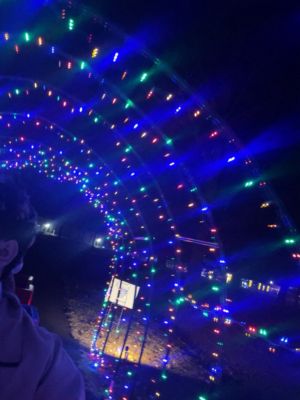 Holiday Ladiga Lights