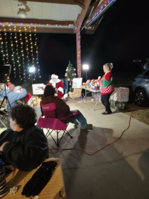 Holiday Ladiga Lights