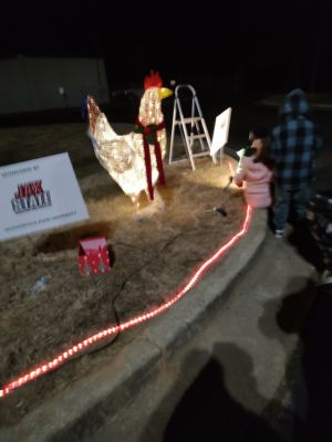 Holiday Ladiga Lights