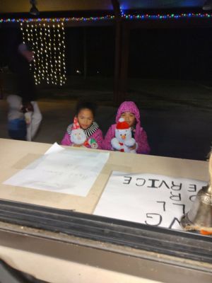 Holiday Ladiga Lights