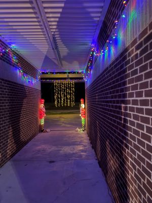 Holiday Ladiga Lights
