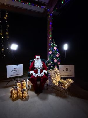 Holiday Ladiga Lights