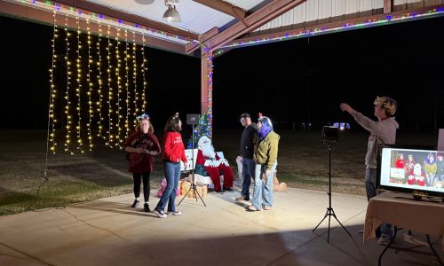 Holiday Ladiga Lights
