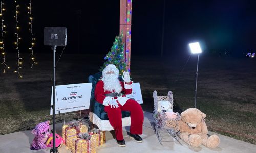 Holiday Ladiga Lights