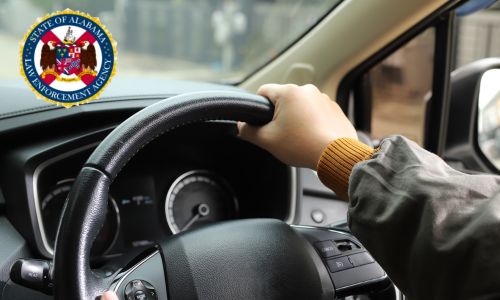 ALEA Urges Passengers to Speak Up for Safety During National Passenger Safety